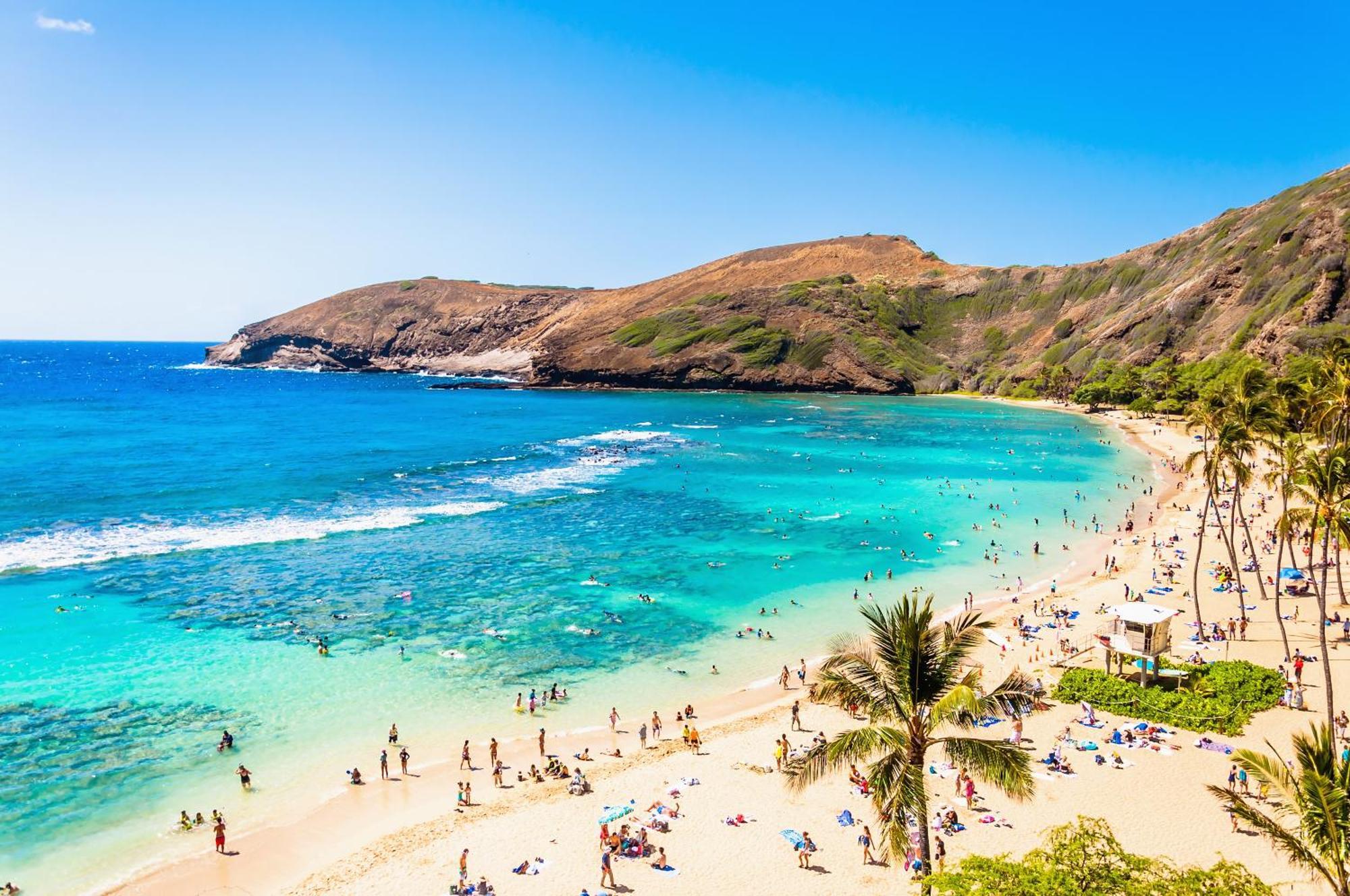 Newly Renovated 2 Bedroom Condo, 1 Block To Waikiki Beach, Free Parking Honolulu Luaran gambar