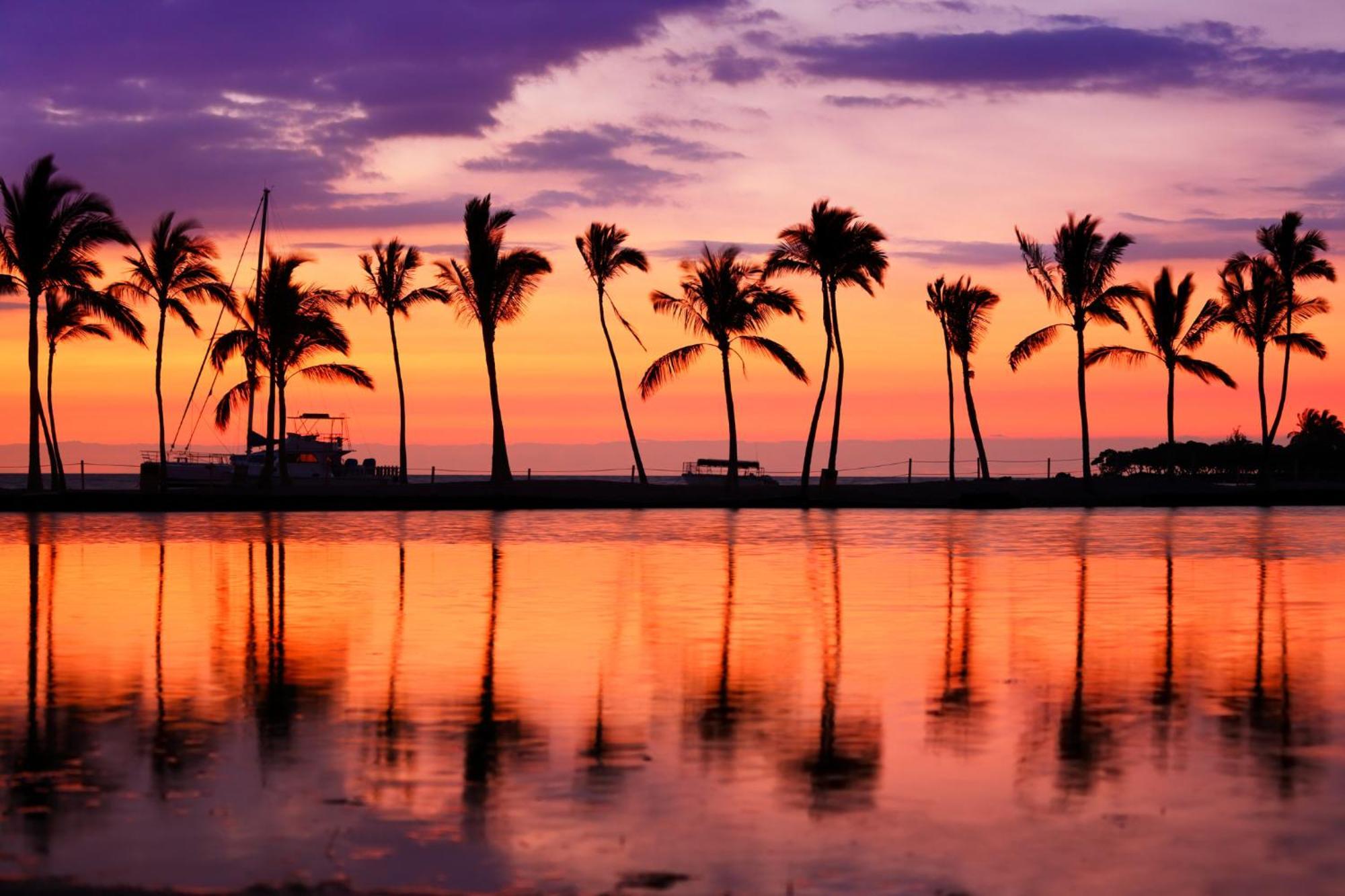 Newly Renovated 2 Bedroom Condo, 1 Block To Waikiki Beach, Free Parking Honolulu Luaran gambar